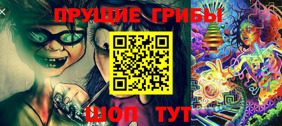 наркотики  Вход с VPN  Красногорск  Псилоцибиновые грибы GOLDEN TEACHER  Псилоцибиновые грибы Psilocybine cubensis 